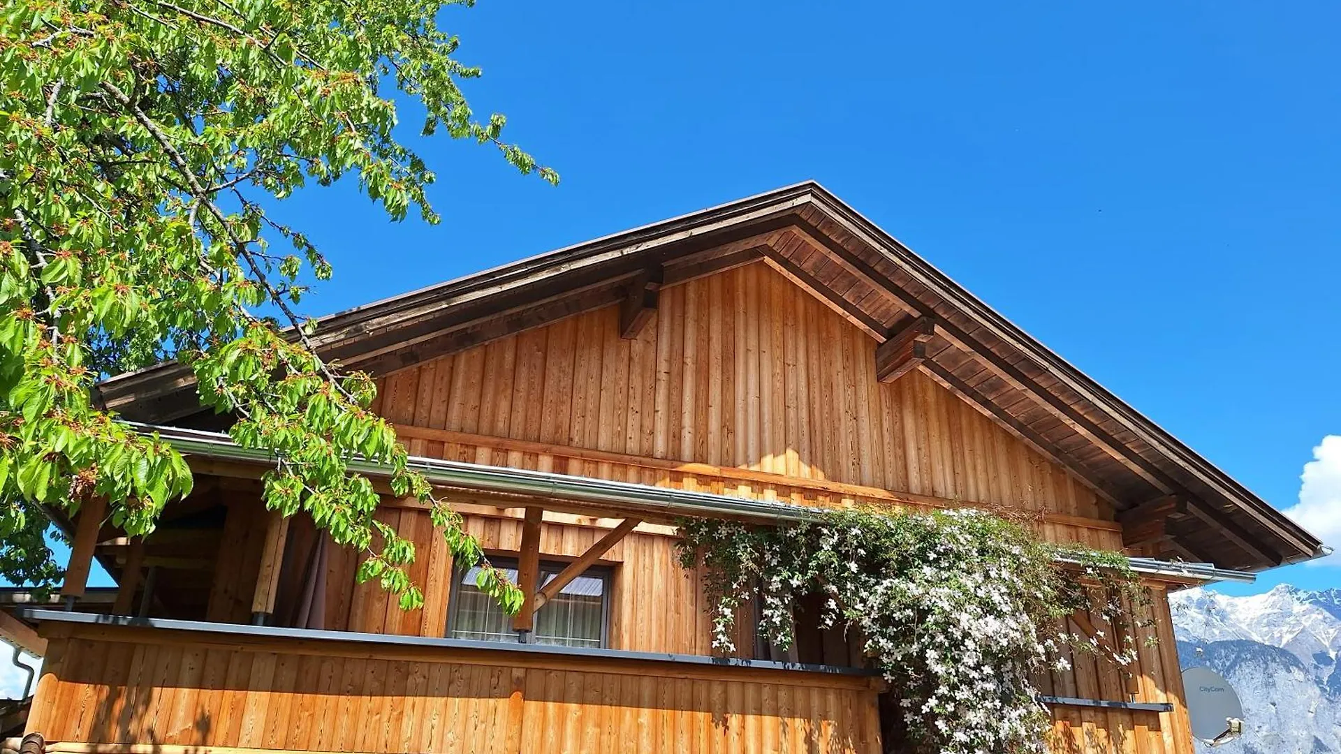 Appartement Seppi Innsbruck Lägenhet